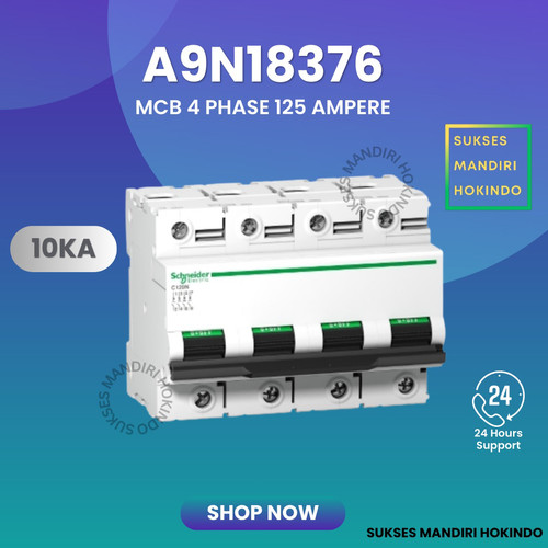 MCB 4 Phase 125 Ampere C120N Schneider 500 VDC Kurva C Original SNI