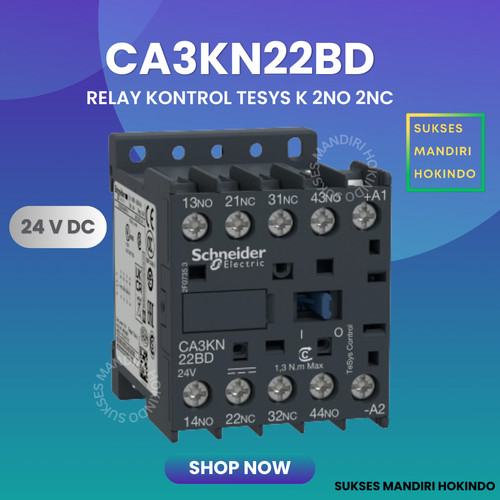 CA3KN22BD Kontaktor Schneider Relay Control 2NO2 NC 24 VDC Original SN