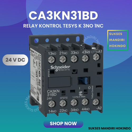 CA3KN31BD Kontaktor Schneider Relay Control 2NO2 NC 24 VDC OriginalSNI