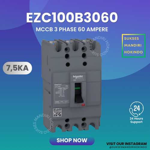 MCCB 3 Phase 60 Ampere 3p 60a Original SNI Schneider EasyPact EZC100B