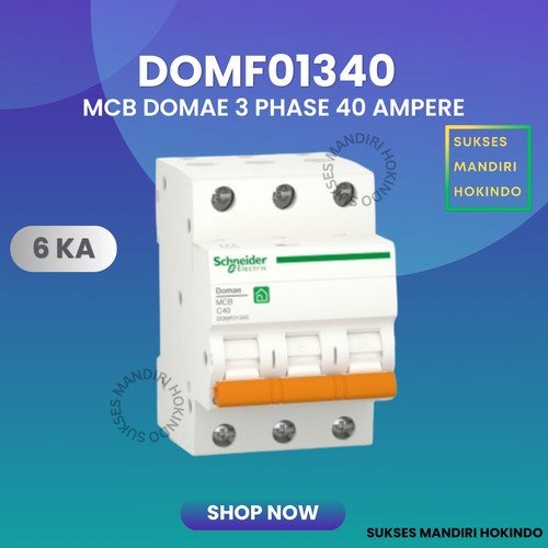 MCB 3 Phase 40 Ampere 3p 40a 3pole Schneider Domae Baru 6kA ORI SNI