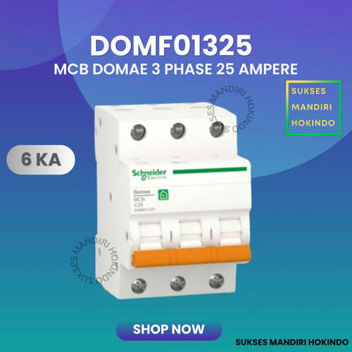 MCB 3 Phase 25 Ampere 3p 25a 3pole Schneider Domae Baru 6kA ORI SNI