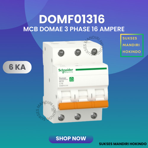 MCB 3 Phase 16 Ampere 3p 16a 3pole Schneider Domae Baru 6kA ORI SNI