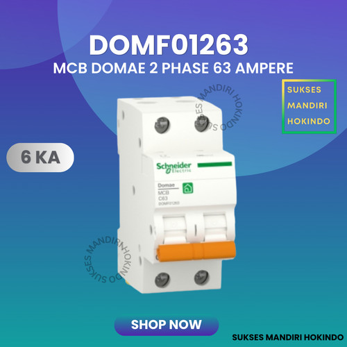 MCB 2 Phase 63 Ampere 2p 63a 2pole Schneider Domae Baru 6kA ORI SNI