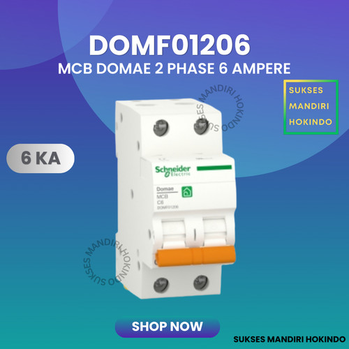 MCB 2 Phase 6 Ampere 2p 6a 2pole Schneider Domae Baru 6kA ORI SNI 100%