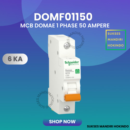 MCB 1 Phase 50 Ampere 1p 50a 1pole Schneider Domae Baru 6kA ORI SNI