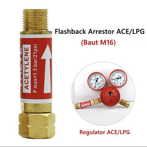 Flashback Flash Back Arrestor Regualtor Oxygen Oxy Acetylene Ace LPG