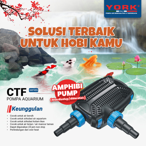 Pompa Pond Kolam Ikan York CTF