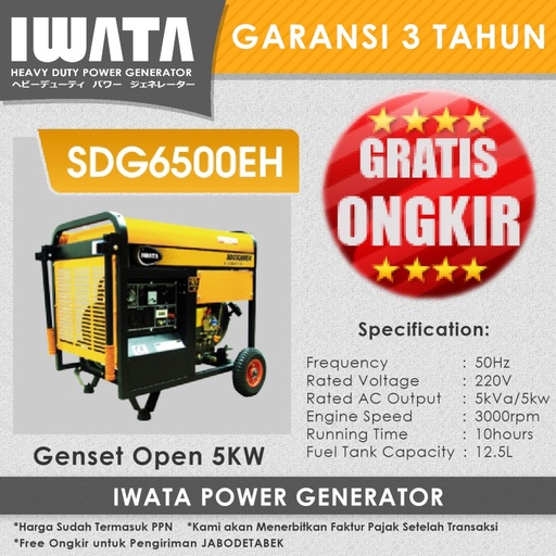 Genset Diesel Open 5 Kva Iwata - SDG6500EH