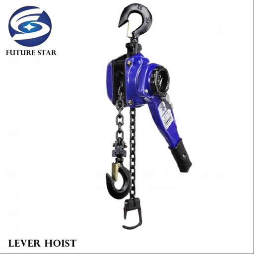 LEVER HOIST 6 TON 3 METER