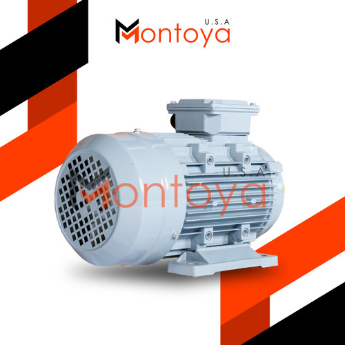 Dinamo Motor Montoya 2 Hp 3 Phase