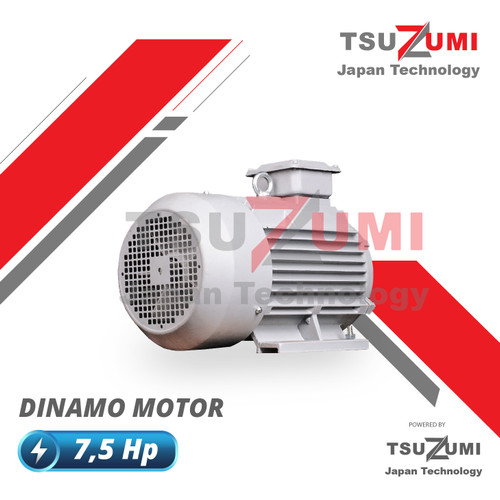 Dinamo Motor 7,5 hp 3 Phase 380 Volt Tsuzumi Tembaga 100%