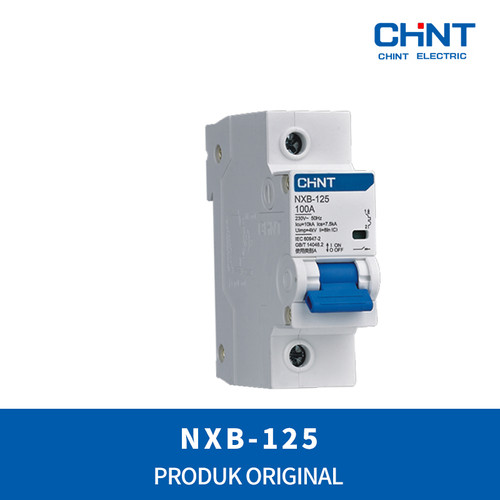 CHINT Din-Rail MCCB NXB-125 / 1P