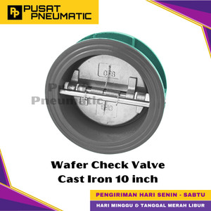 10" Wafer Check Valve Cast Iron CI Disc SS 304 PN16 10 Inch