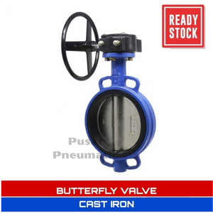 4" Butterfly Valve Cast Iron Seat EPDM Disc SS 304 Worm Gear 4 Inch