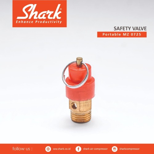 Savety Valve Kompressor MZ 07-25 Shark