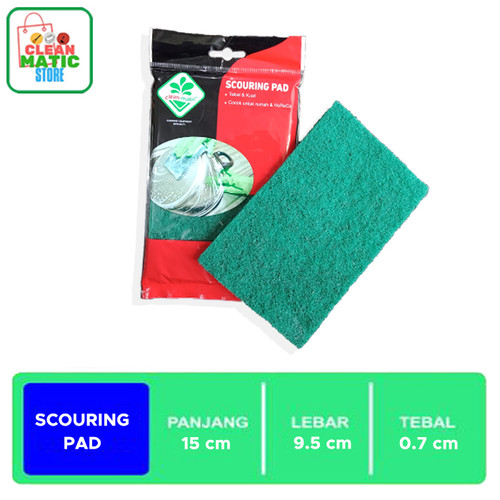 SCOURING PAD