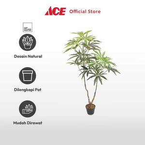 Ace Arthome 130 cm Tanaman Artifisial Falsearalia - Hijau