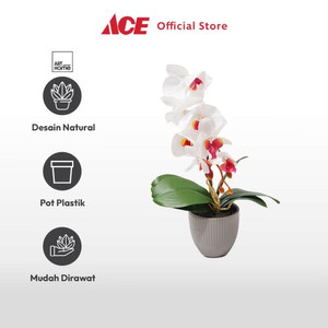 Ace Arthome Bunga Artifisial Orchid 1 Stem Dengan Pot - Putih/Krem