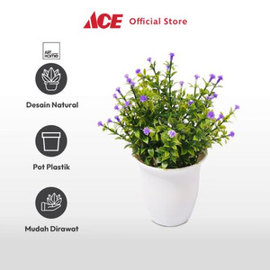 Ace Arthome Bunga Artifisial Grass Star Potted - Ungu