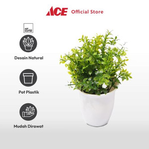 Arthome Bunga Artifisial Grass Star Potted  - Putih