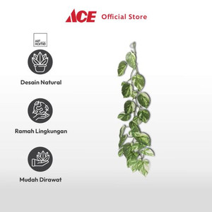 Ace - Arthome Tanaman Artifisial Garland Rohdea White Leaf - Hijau