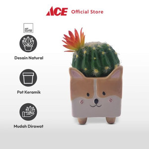 Ace - Arthome Tanaman Artifisial Sukulen Dengan Pot Anima Corgi