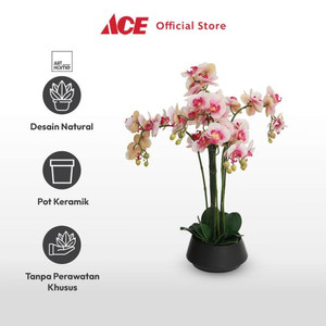 Ace - Arthome Bunga Artifisial Orchid Dengan Pot Keramik - Pink