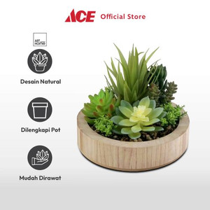 Ace - Arthome Tanaman Artifisial Succulent Mix In Shaw Pot A