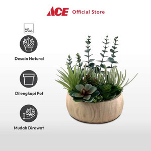 Ace - Arthome Tanaman Artifisial Succulent Mix-D In Shaw Pot