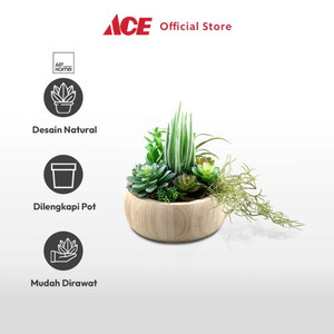 Ace - Arthome Tanaman Artifisial Succulent Mix-E In Shaw Pot