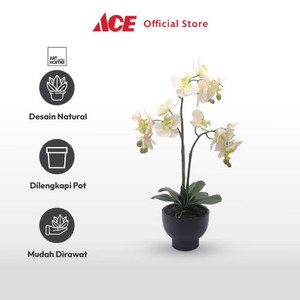 Ace - Arthome Bunga Artifisial Orchid 3 Stem Dengan Pot - Putih