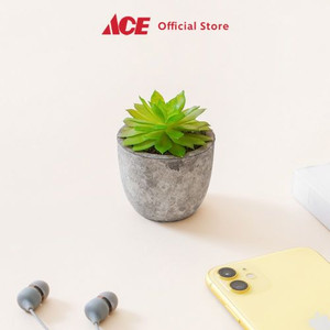 Ace - Ataru 7 Cm Tanaman Artifisial Echeveria Dengan Pot Round Cmt