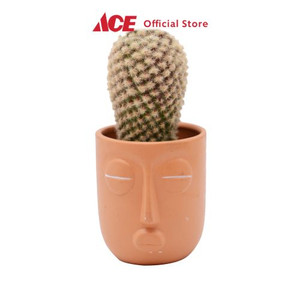 Ace - Arthome 7.6 Cm Tanaman Artifisial Kaktus Dengan Pot - Hijau