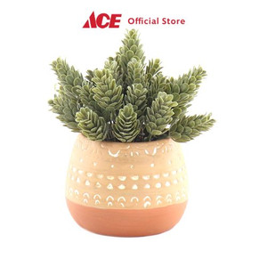 Ace - Arthome 15.2 Cm Bunga Artifisial Succulent Dengan Pot - Hijau