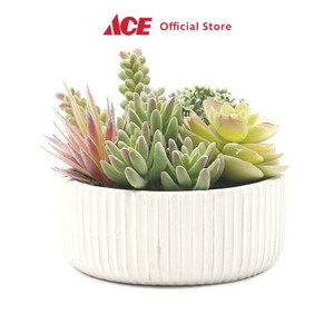 Ace - Arthome 15.2 Cm Tanaman Artifisial Sukulen Dengan Pot - Hijau