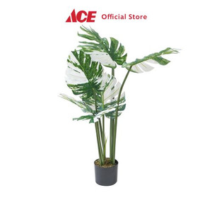 Ace - Arthome 90 Cm Tanaman Artifisial Monstera - Putih