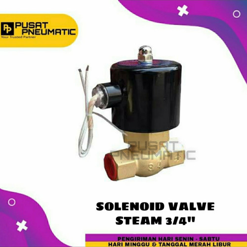 3/4" Selenoid Valve Steam 2 way Solenoid Us 20 3/4"