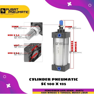 SC 100X125 Pneumatic Standard Cylinder/Cylinder Pneumatic SC 100 x 125