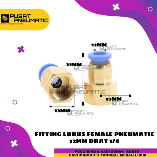 FITTING LURUS FEMALE PNEUMATIC SELANG 12MM DRAT 1/4"(12mm)