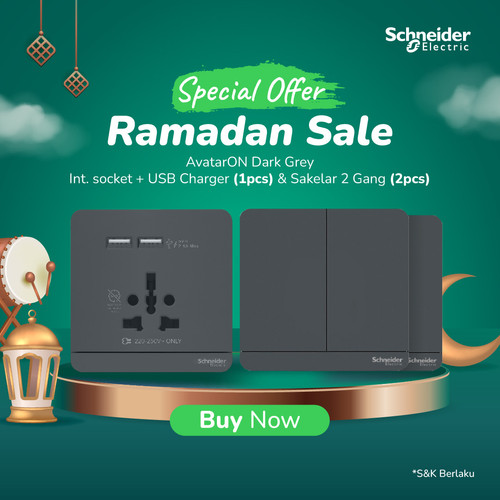 Bundle SchneiderAvatarOn Int.Socket+USB-1pcs & Saklar2G1A -2p DarkGrey