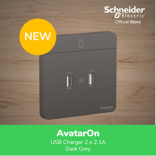 Schneider Electric AvatarOn Dark Grey USB Charger 2.1A - 2 Gang