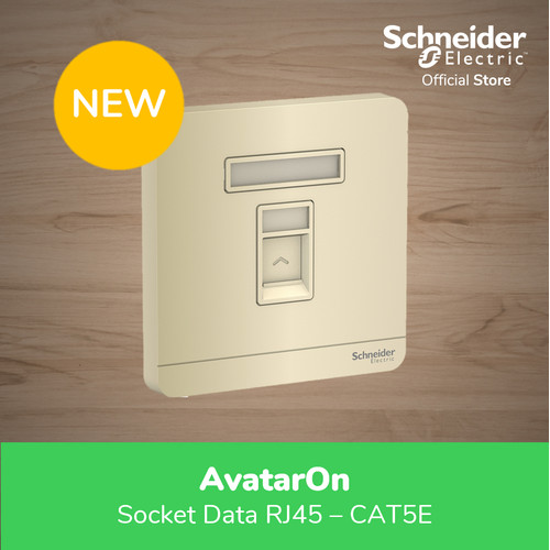 Schneider Electric AvatarOn Gold Data Socket RJ45 CAT5E - E8331RJS5_WG