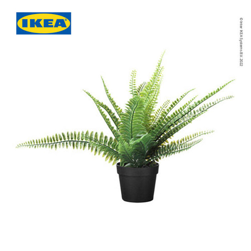 IKEA FEJKA Tanaman Hias Pakis dengan Pot 9 cm