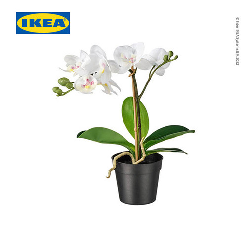 IKEA FEJKA Tanaman Hias Anggrek Putih dengan Pot 9 cm