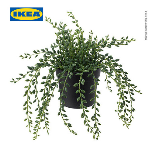 IKEA FEJKA Tanaman Hias String of Beads dengan Pot 9 cm