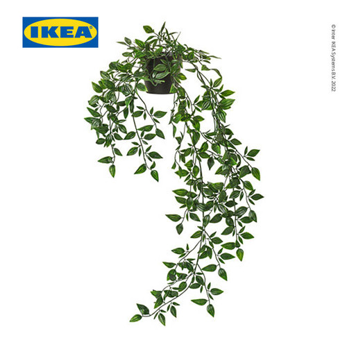 IKEA FEJKA Tanaman Hias Gantung dengan Pot 9 cm