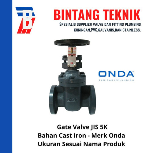 Gate Valve 2 1/2" inch Cast Iron Onda JIS 5K