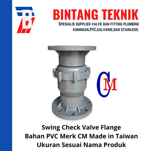 Swing Check Valve PVC 4" inch CM - Flange