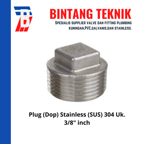 Plug 3/8" inch Stainless 304 #150